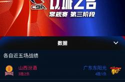 雷速体育直播官网-球场上的风云际会，引人入胜