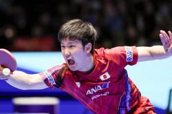 雷速体育官方-关于瑞典乒乓球队完胜韩国乒乓球队，张本智和绝境逆转的信息