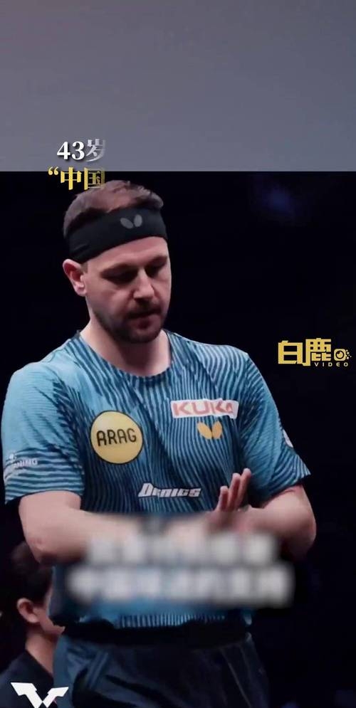 关于日本乒乓球队逆转波兰乒乓球队,波尔惊艳世界的信息 关于日本乒乓球队逆转波兰乒乓球队,波尔惊艳世界的信息