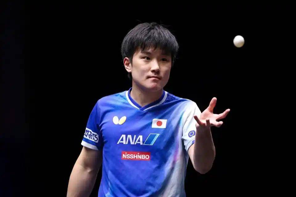 中国乒乓球队绝杀德国乒乓球队,张本智和绝境逆转的简单介绍 中国乒乓球队绝杀德国乒乓球队,张本智和绝境逆转的简单介绍