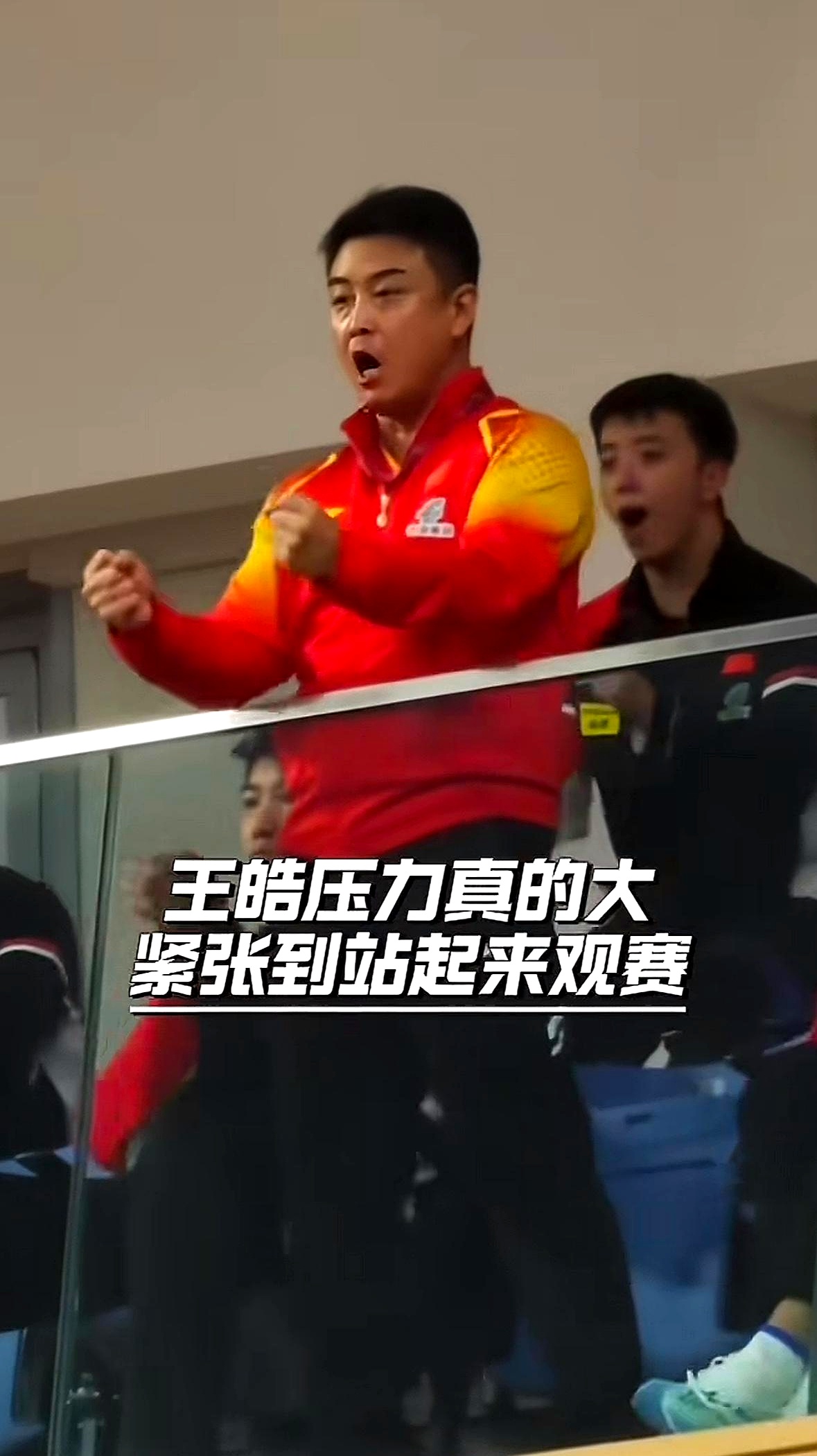 德国乒乓球队鏖战中国乒乓球队,王皓一己之力扛起全队的简单介绍 德国乒乓球队鏖战中国乒乓球队,王皓一己之力扛起全队的简单介绍