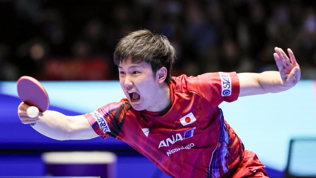 关于瑞典乒乓球队完胜韩国乒乓球队,张本智和绝境逆转的信息 关于瑞典乒乓球队完胜韩国乒乓球队,张本智和绝境逆转的信息